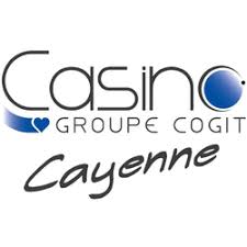 logo du groupe cogit